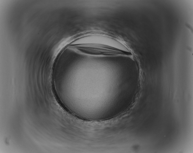 X0000099950007200806061553