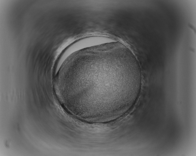 X0000099950008200806061553