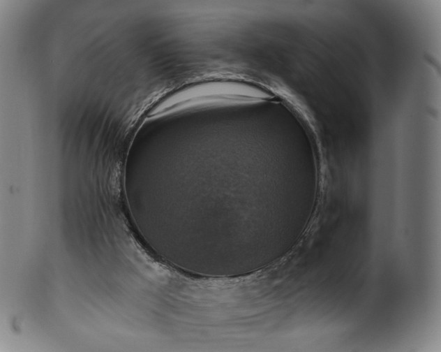 X0000099950009200806061553