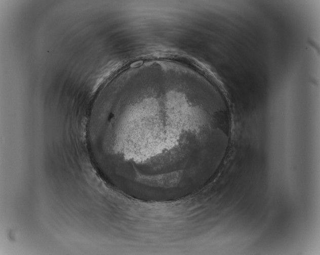 X0000099950010200806061553