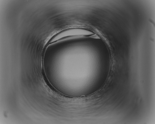 X0000099950011200806061553