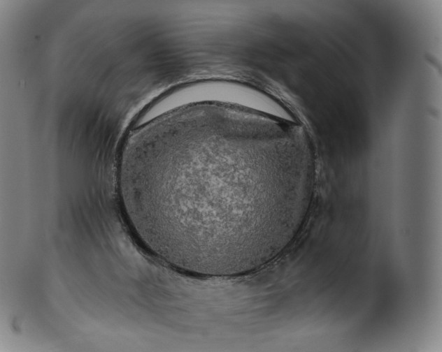 X0000099950012200806061553