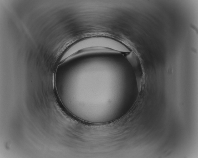 X0000099950013200806061553