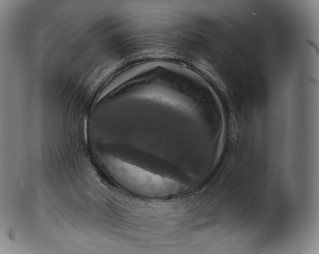 X0000099950014200806061553