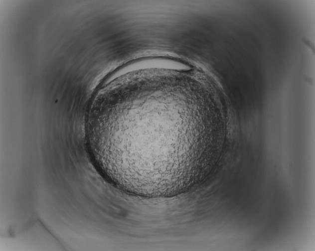 X0000099950015200806061553