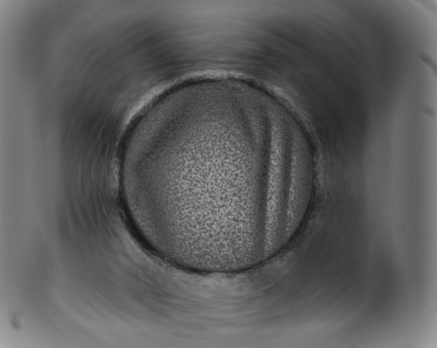 X0000099950016200806061553