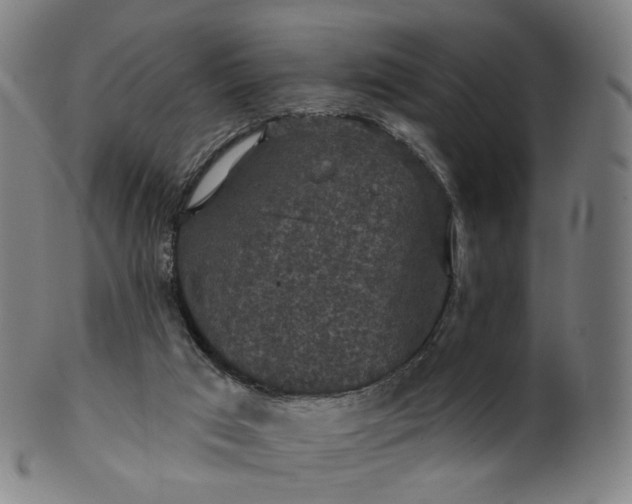 X0000099950017200806061553