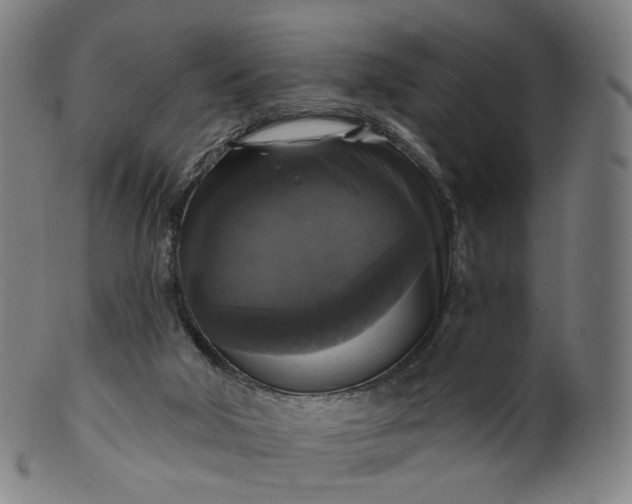 X0000099950018200806061553