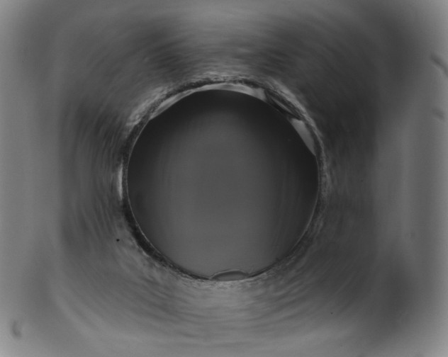 X0000099950019200806061553