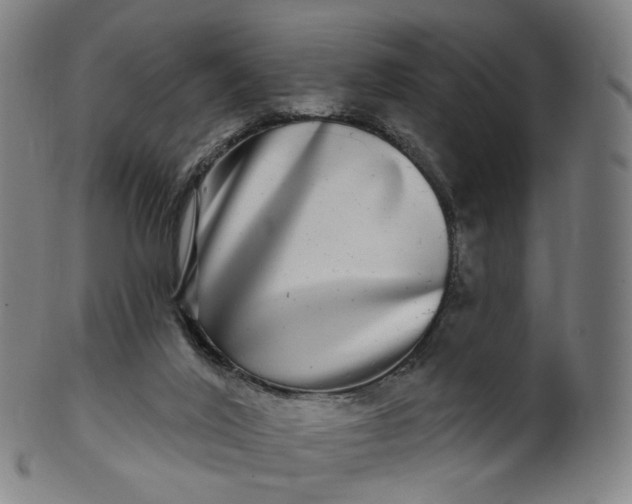 X0000099950020200806061553