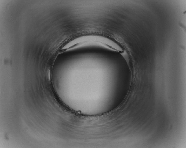 X0000099950021200806061553