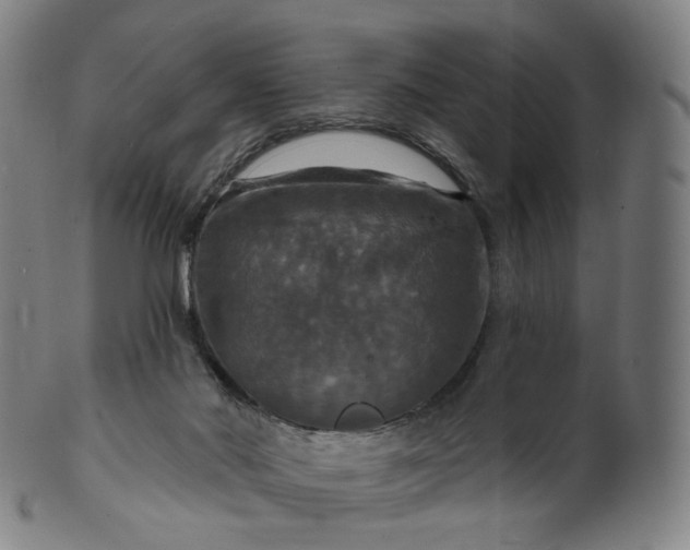 X0000099950022200806061553