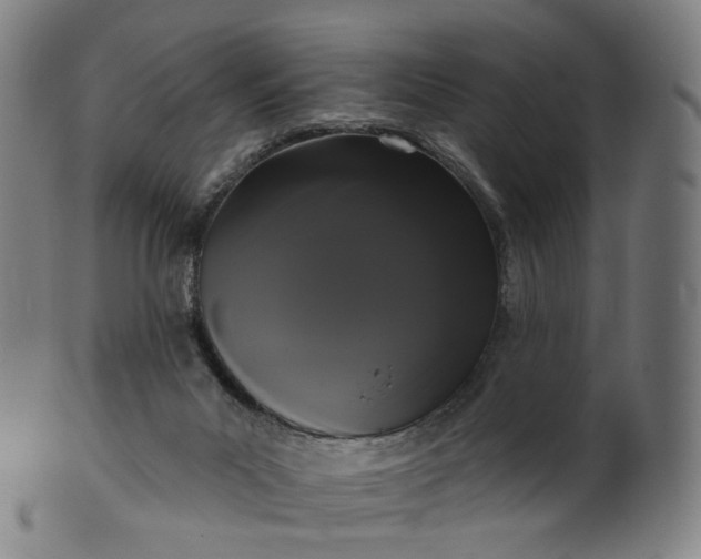 X0000099950023200806061553