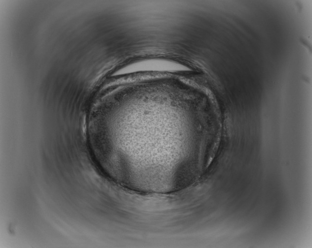 X0000099950024200806061553