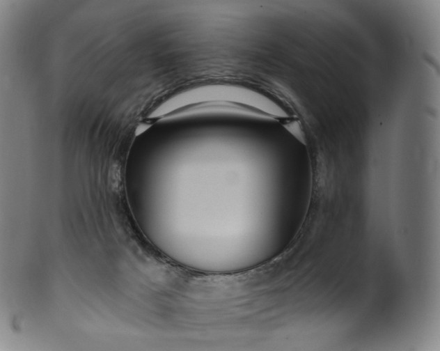 X0000099950025200806061553