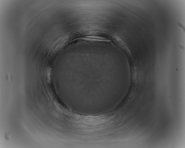 X0000099950026200806061553