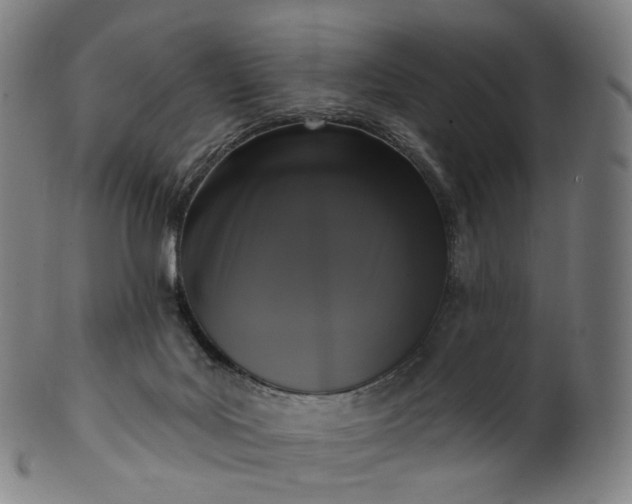 X0000099950027200806061553