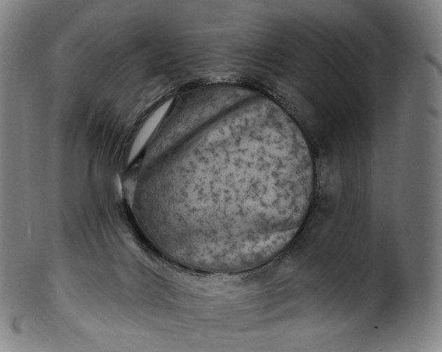 X0000099950028200806061553