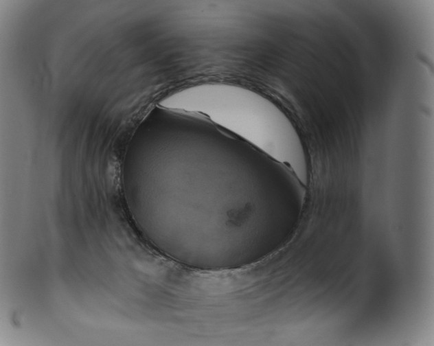 X0000099950029200806061553