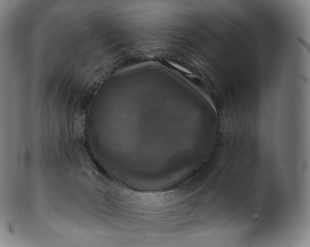 X0000099950030200806061553