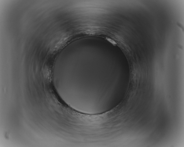 X0000099950031200806061553