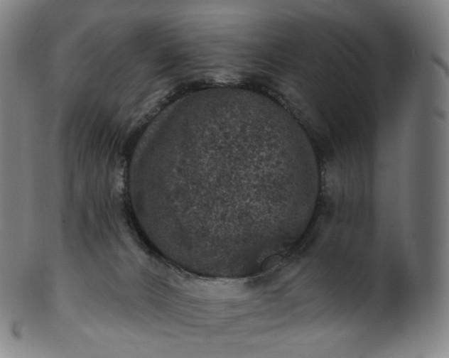 X0000099950032200806061553