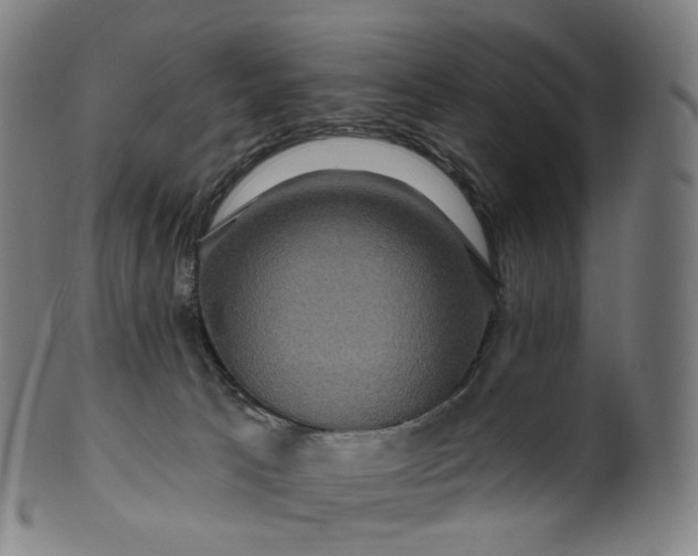 X0000099950033200806061553