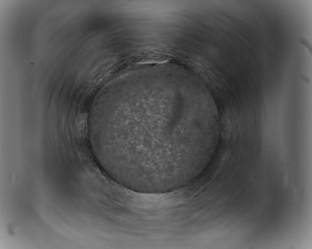 X0000099950034200806061553