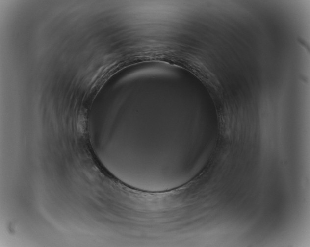 X0000099950035200806061553