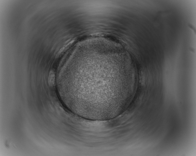 X0000099950036200806061553