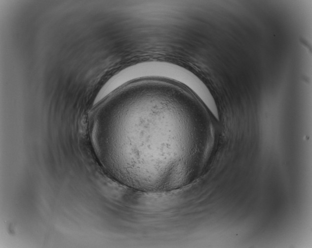 X0000099950037200806061553