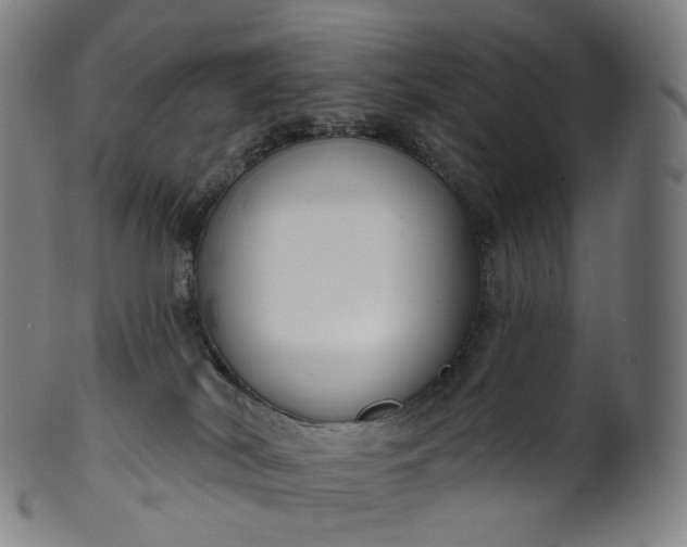 X0000099950038200806061553