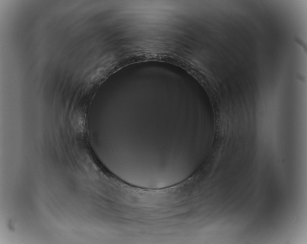 X0000099950039200806061553