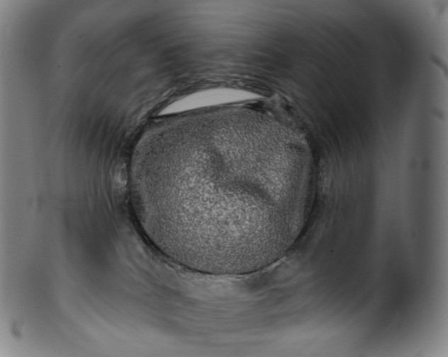 X0000099950040200806061553