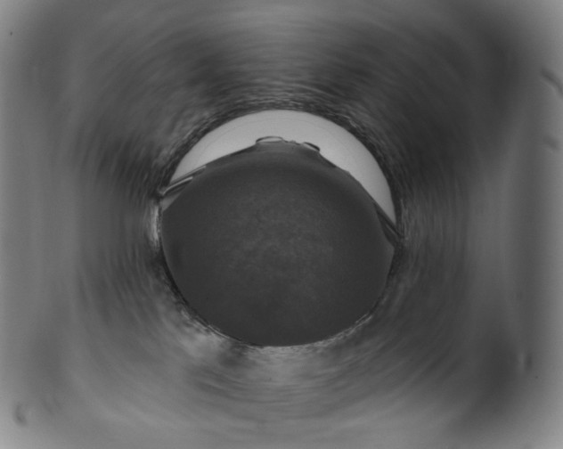 X0000099950041200806061553