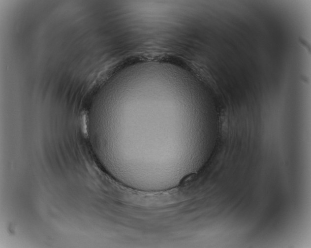 X0000099950042200806061553