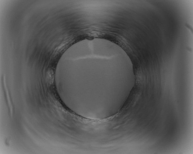 X0000099950043200806061553