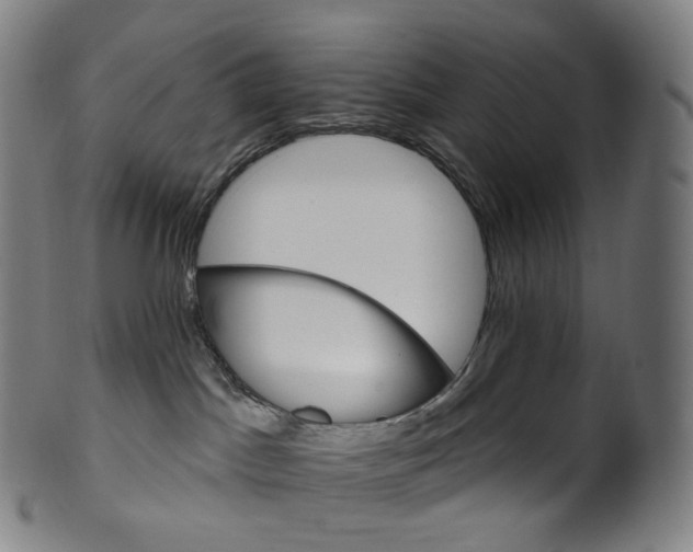 X0000099950045200806061553