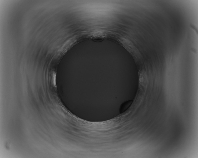 X0000099950046200806061553