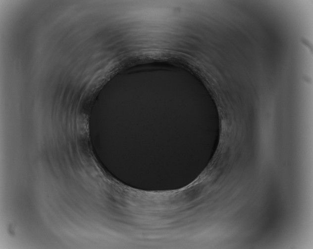 X0000099950048200806061553