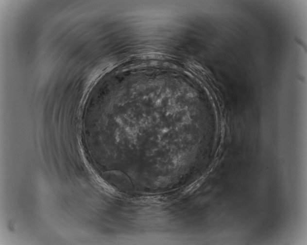 X0000099950049200806061552