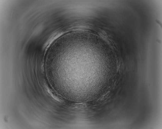 X0000099950050200806061552