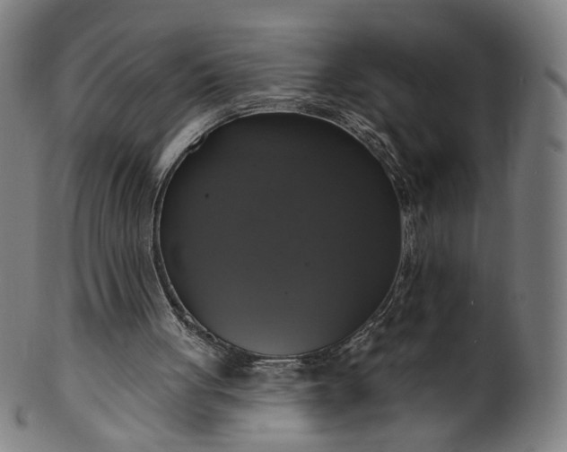 X0000099950051200806061552