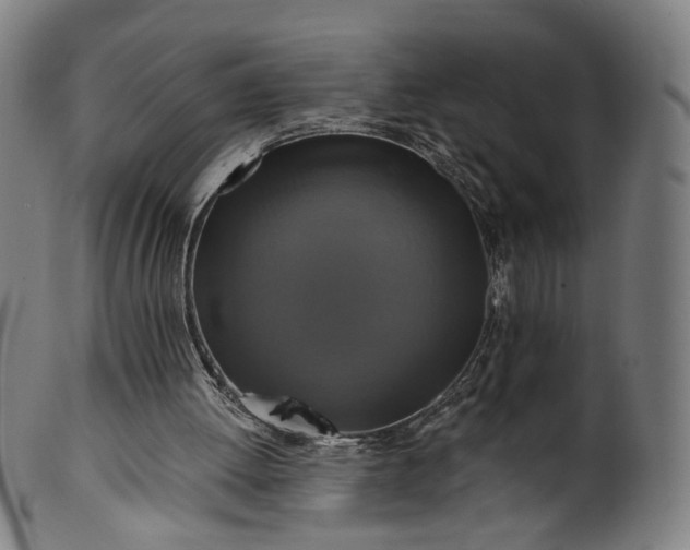 X0000099950052200806061552