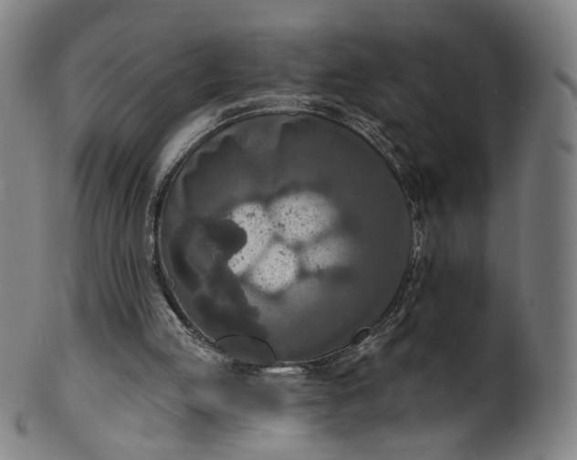 X0000099950053200806061552