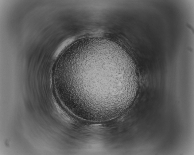 X0000099950054200806061552