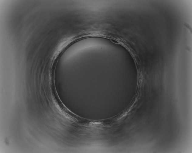 X0000099950055200806061552