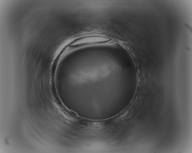 X0000099950056200806061552