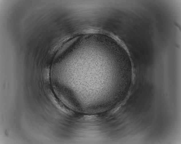 X0000099950057200806061552