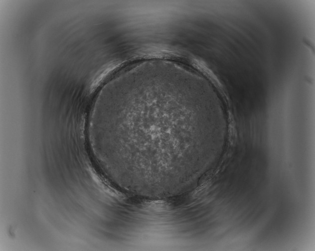 X0000099950058200806061552